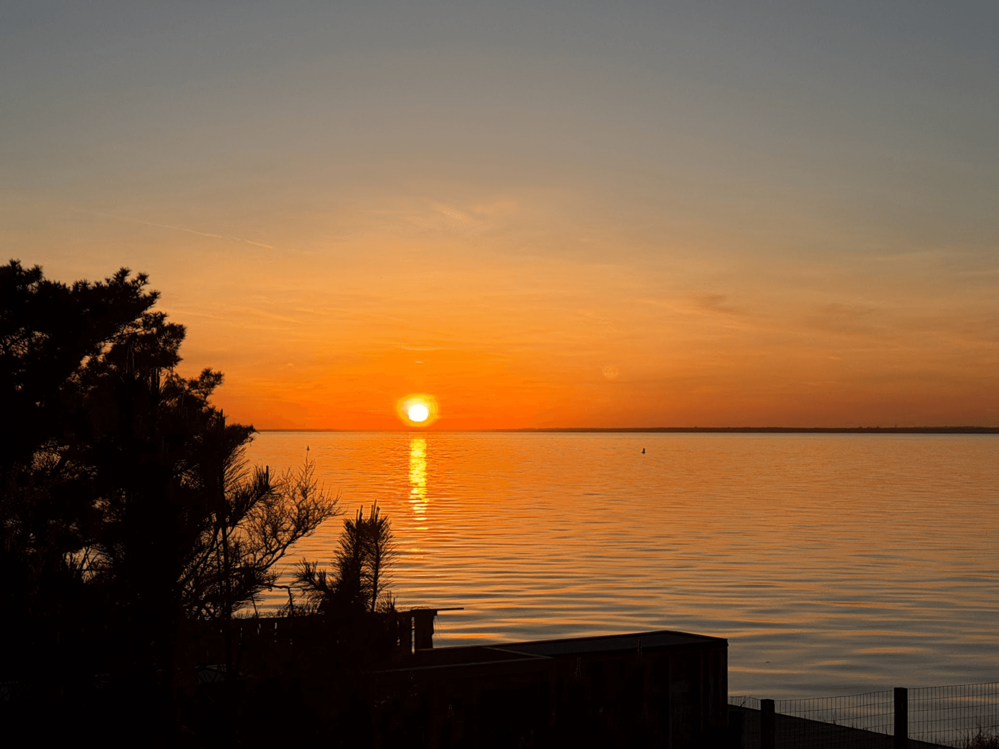 Sunset over the bay with pine silhouettes — Fire Island Pines